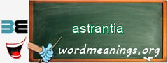 WordMeaning blackboard for astrantia